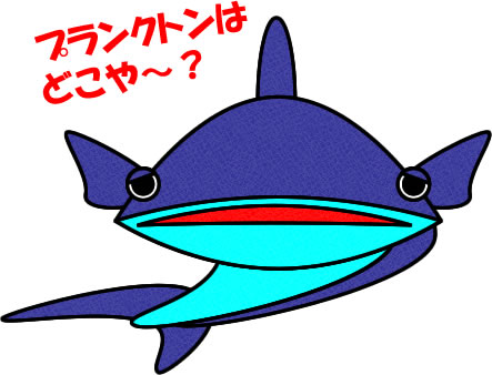 ジンベイザメのイラスト画像