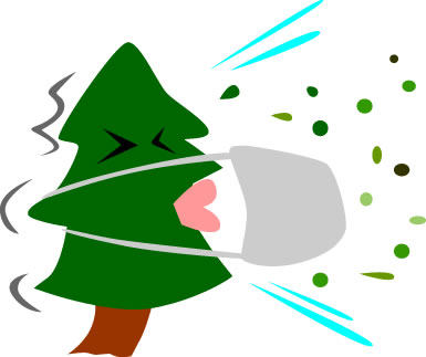 くしゃみをする杉の木のイラスト画像
