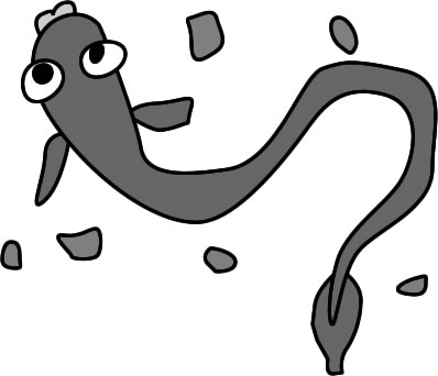 うなぎ ウナギ 鰻のイラスト画像