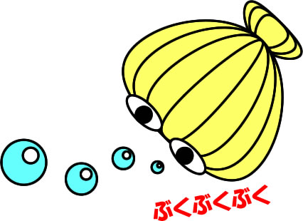 ホタテ貝のイラスト画像