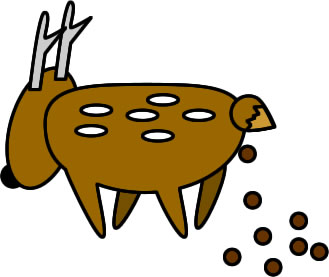 フンをする鹿のイラスト画像