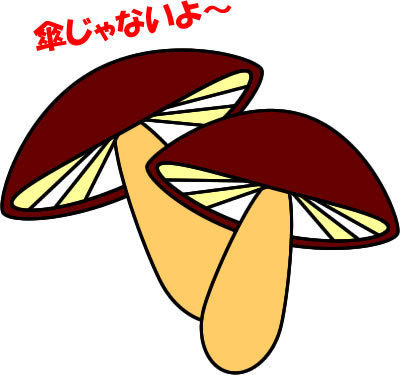 椎茸のイラスト画像
