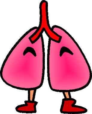 キャラクター風の肺のイラスト画像
