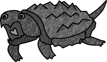カミツキガメのイラスト画像