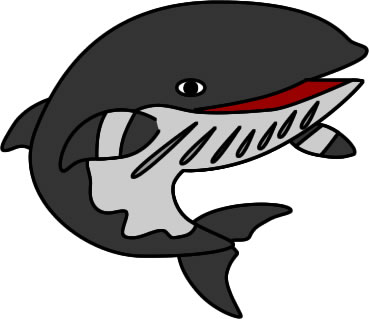 ミンククジラのイラスト画像