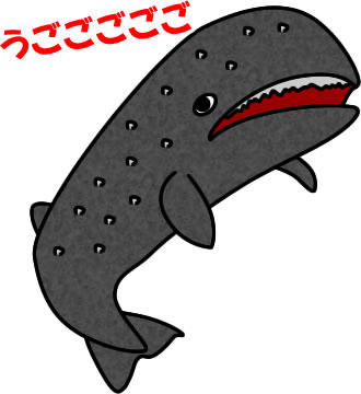 コククジラのイラスト画像