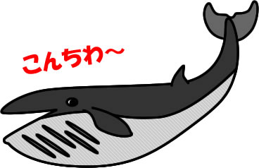 ナガスクジラのイラスト画像