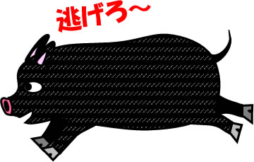 走る黒豚のイラスト画像2
