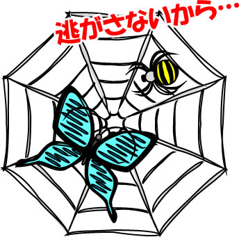 クモとクモの巣にかかった蝶のイラスト画像3