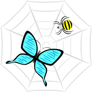 クモとクモの巣にかかった蝶のイラスト画像5