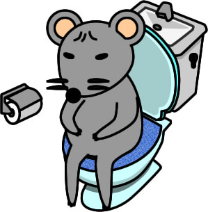 トイレにこもるネズミのイラスト画像のイラスト画像