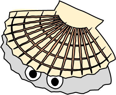 ホタテ貝のイラスト画像1