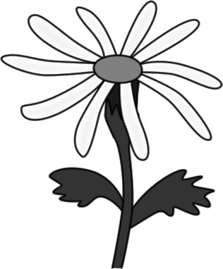 ノジギクの花のイラスト画像