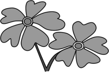 サクラソウの花のイラスト画像