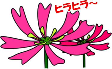 レンゲの花のイラスト画像