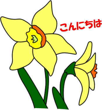 スイセンの花のイラスト画像