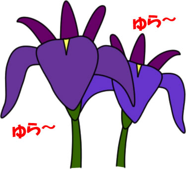 カキツバタの花のイラスト画像