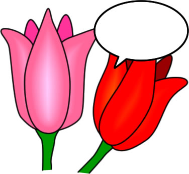 チューリップの花のイラスト画像
