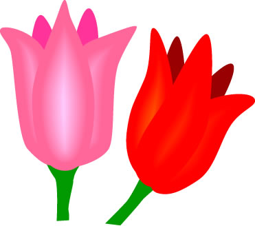 チューリップの花のイラスト画像