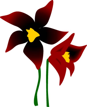 クロユリの花のイラスト画像