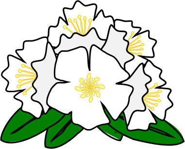 シャクナゲの花のイラスト画像2