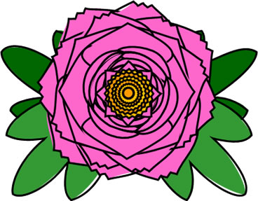 ボタンの花のイラスト画像2