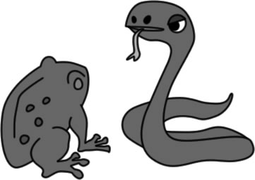 蛇に睨まれた蛙のイラスト画像4