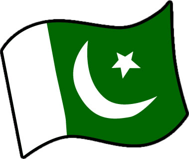 パキスタンの国旗のイラスト画像3