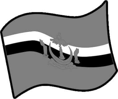 ブルネイの国旗のイラスト画像4