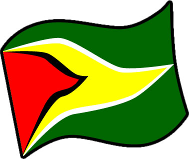 ガイアナの国旗のイラスト画像3