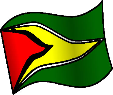ガイアナの国旗のイラスト画像6