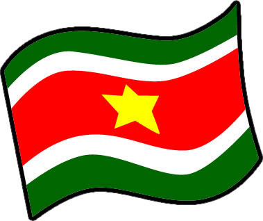 スリナムの国旗のイラスト画像3