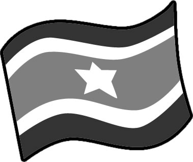 スリナムの国旗のイラスト画像4