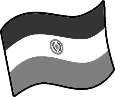 パラグアイの国旗のイラスト画像4