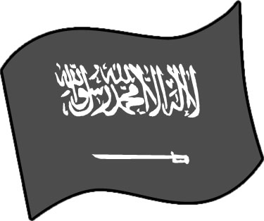 サウジアラビアの国旗のイラスト フリーイラスト素材 変な絵 Net