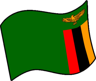 ザンビアの国旗のイラスト画像3