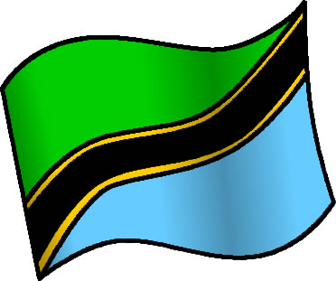 タンザニアの国旗のイラスト画像6