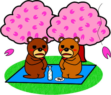 二人で花見をするクマのイラスト画像