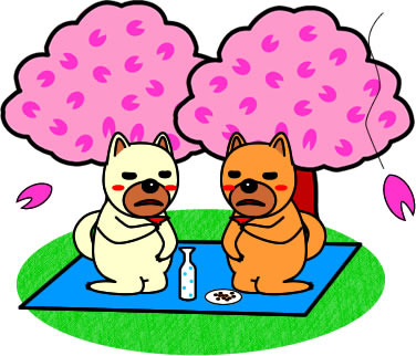 二人で花見をするイヌのイラスト画像