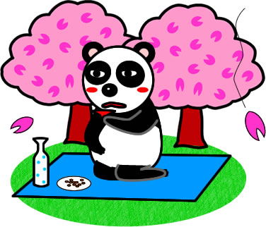一人で花見をするパンダのイラスト画像