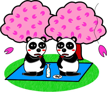 二人で花見をするパンダのイラスト画像