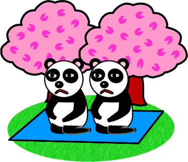 二人で花見の場所取りをするパンダのイラスト画像