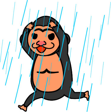 雨の中を走るゴリラのイラスト画像