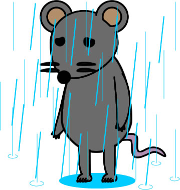 雨に濡れ続けるネズミのイラスト画像