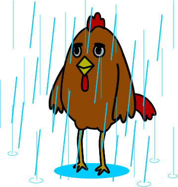 雨に濡れ続けるニワトリのイラスト画像
