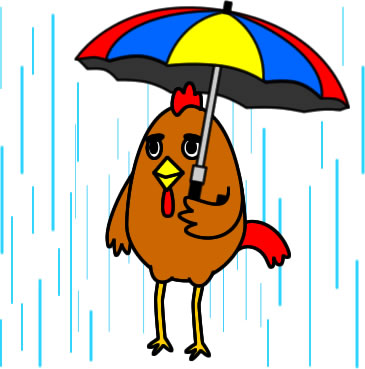 傘をさすニワトリのイラスト画像