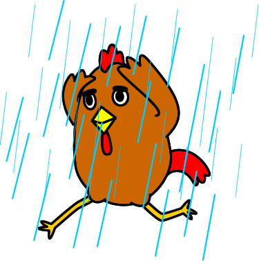 雨の中を走るニワトリのイラスト画像