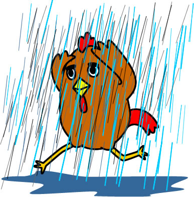 ゲリラ豪雨にやられるニワトリのイラスト画像