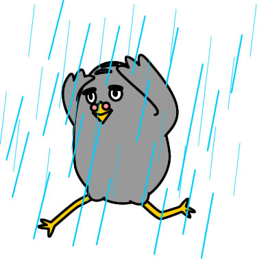 雨の中を走るハトのイラスト画像
