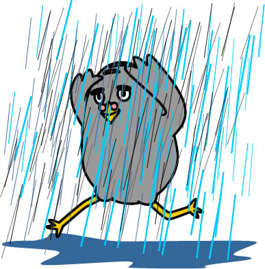 ゲリラ豪雨にやられるハトのイラスト画像